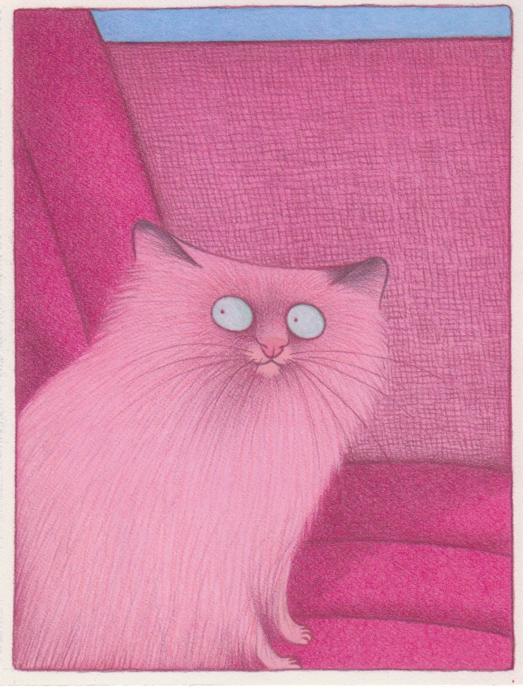 katzen 1 10 - 130 x 170  520 €