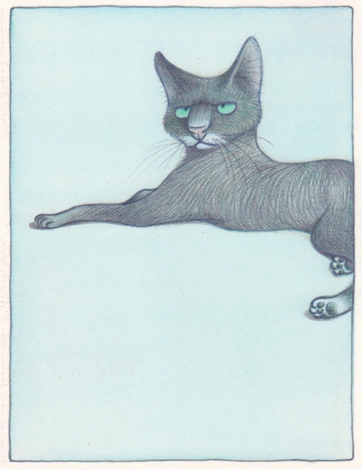 katzen 1 9- 130 x 170  520 €