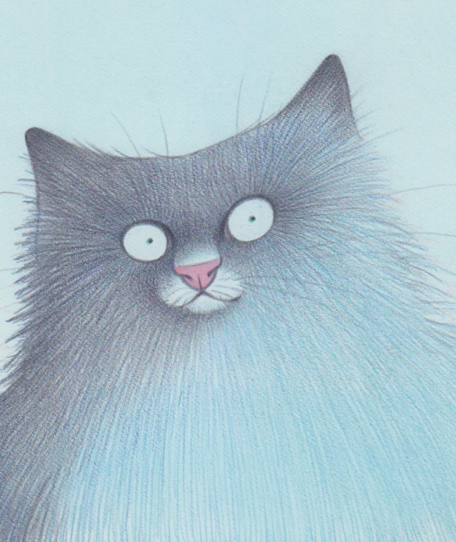 katzen 20 - 130 x 170  520 €